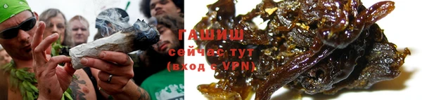 гашик Болохово