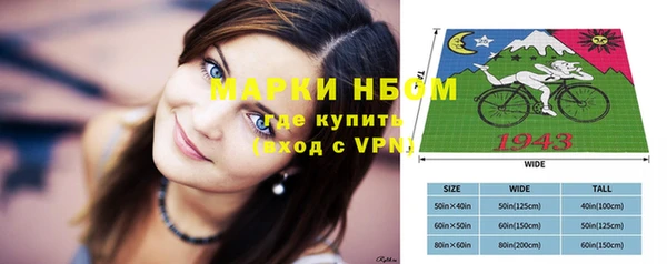 гашик Болохово