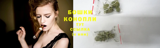 каннабис Новозыбков