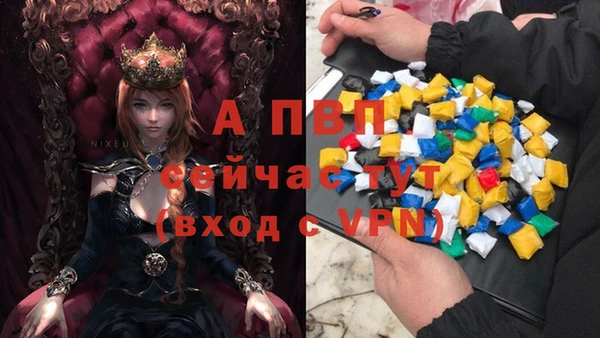 каннабис Новозыбков