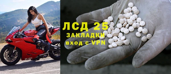 гашик Болотное