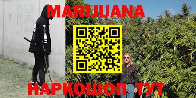 прущие грибы Бийск