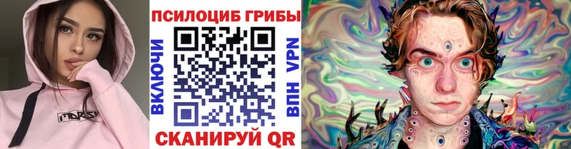 Галлюциногенные грибы Magic Shrooms  где можно купить   Богородск 